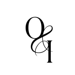 io, oi, monogram logo. Calligraphic signature icon. Wedding Logo Monogram. modern monogram symbol. Couples logo for wedding