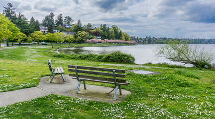 Lake Washington Boulevard Spring 4