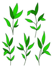 Leaf of plant leaves set cartoon isolated illustrations