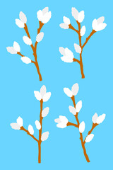 Pussy willow stem spring plant set flat isolated illustrations