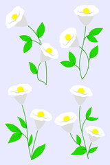 White flower on stem floral set flat isolated illustrations