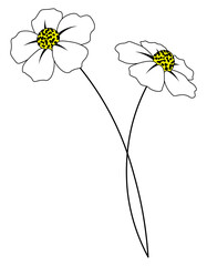White flower on stem cartoon isolated illustrations