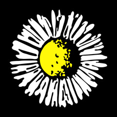 Daisy flower view from above isolated illustration