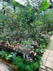 서울 서초구 양재동 화훼시장, 양재 꽃 시장, 도매 화초 시장 / Yangjae-dong Flower Market, Yangjae Flower Market, and Wholesale Flower Market in Seocho-gu, Seoul 