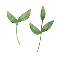 Fototapeta premium Watercolor set of green branches