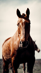 The truth behind his eyes