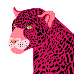 vector illustration of pink jaguar with black spots on a white background © Marta