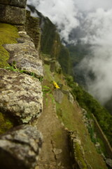 Ruins of the ancient Inca city machu picchu in fog, Peru