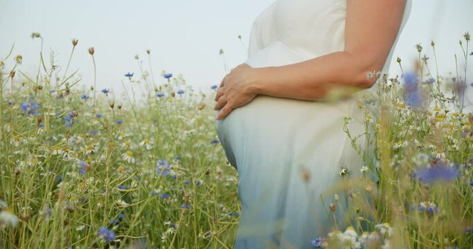White pregnant woman in a beautiful dress touching her belly. Pregnant woman with a big belly outdoors. Expecting mother stroking belly on nature.   Woman pregnancy concept.