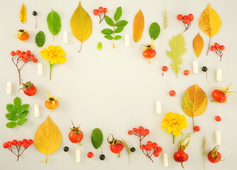 Frame of colorful bright yellow leaves, red rowan berries, rose hips and biological supplements capsules Isolated on a white background. Autumn concept. Top view, copy space, flat lay.