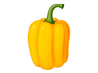 Sweet yellow bell pepper. Illustration of vegetable in cartoon simple flat style.