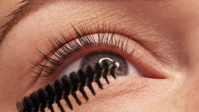SLOW MOTION: Applying black mascara to the eyelashes with a makeup brush. Applying makeup in a beauty salon. Close-up of a woman's eye. Lengthening of the eyelashes after lamination.