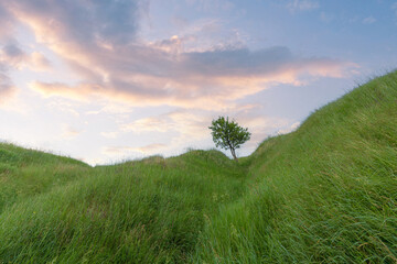 Fototapeta premium A gorgeous view of a hollow between green grass hills under a summer sunset sky with clouds. Summer vibes.