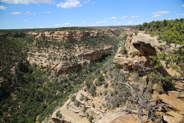 Fototapeta na wymiar Navajo Canyon, Mesa Verde National Park, Colorado