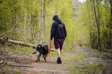 Mężczyzna spacerujący ze swoim psem w zielonym lesie - obrazy, fototapety, plakaty