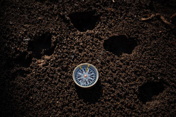 The compass lies on the ground, the landmark to the north, the magnetic needle of the compass shows to the east, the directions of the world, the traces of animals.