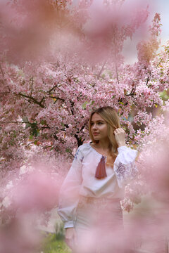 Young blonde woman walks among blooming sakura trees.