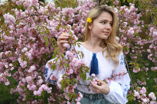 Portrait of young blonde woman in blooming sakura garden in Ukrainian embroidered shirt.