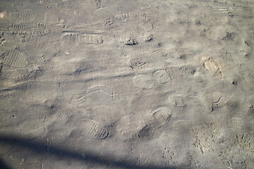footprints on the wet ground on a spring morning