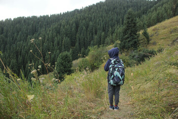 Fototapeta na wymiar Young traveler hiking with backpacks. Hiking in mountains.