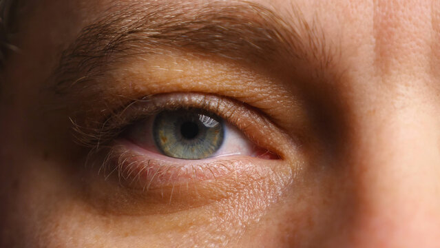 Human eye in close-up. Pupil slightly dilated. Blue iris. Woman's eye.