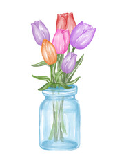 Tulip illustrations, watercolor graphics, white backgrounds for cards, posters, postcards, digital prints, crafts, scrapbook and more.