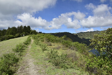 dirt road through the forest around Laguna Cuicocha, beautiful lagoon inside the crater of the Cotacachi volcano.