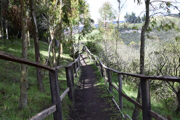 dirt road through the forest with wooden railings. Laguna Cuicocha, lagoon inside the crater of the Cotacachi volcano.