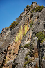 lichens. Rocky wall in a river canyon with lichens