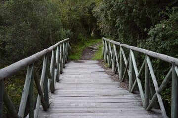 dirt road through the forest with wooden railings. Laguna Cuicocha, lagoon inside the crater of the Cotacachi volcano.