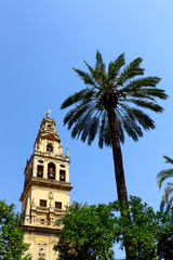 Bell tower in the Cordoba Mosque, Spain, next to a palm tree in the central courtyard of the monument
