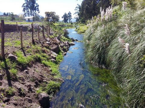 A narrow river with algae at the bottom, along the plantings. Banos Ecuador