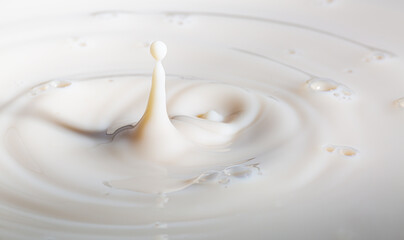 Fototapeta na wymiar Milk drop texture,a wave after the drop of milk