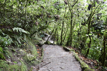 Forest road to entrance to Pailon del Diablo, wonderful waterfall in america latina. Banos.