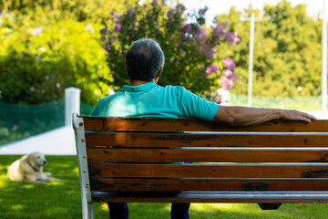 Rear view of biracial senior man sitting on bench while dog lying on grass against trees in park - Powered by Adobe