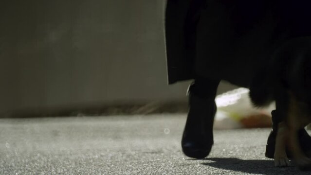 A man in a boot and a raincoat leads a mongrel small dog on an old leash. The street is flooded with light, people are walking, a car is driving. There are trash bags in the background. HD footage
