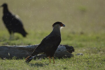 The search of the day