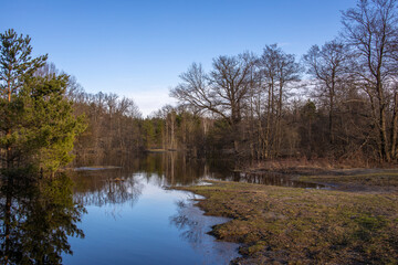 Fototapeta na wymiar High water in early spring. Landscape with a river and trees in the background. The sky is reflected in the river.