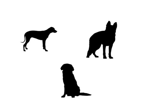 dog vector.dog black.German Shepherd standing, isolated on black.Hunting Dog Vector Pictures, Images and Stock Photos.Cute dog vector image.