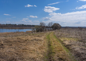 The road leading to abandoned village house near a forest lake begins to be covered with fresh green grass.