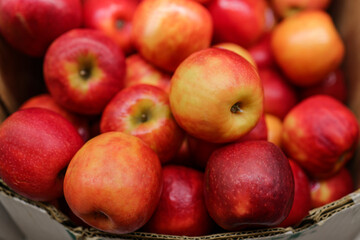 Fototapeta na wymiar Red apples in the cardboard boxes on the supermarket shelf