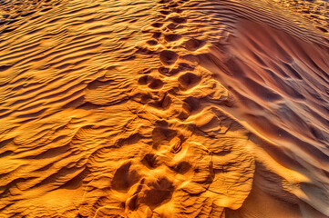 Red desert sand landscape.