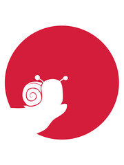 Sonne Klippe Schnecke 