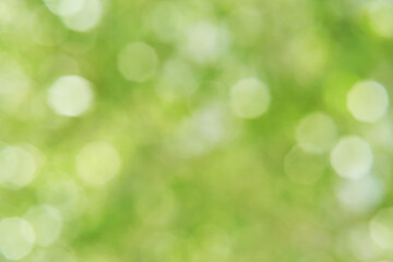 Naklejka na ściany i meble Bokeh circle with green sparkles background. Grass glitter backdrop. Tree texture. New year luxury snow. Copyspace. Shimmer confetti wallpaper. Dreamy shiny design detail