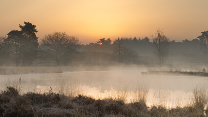 Obraz na płótnie Canvas Moody misty sunrise above fens in The Netherlands