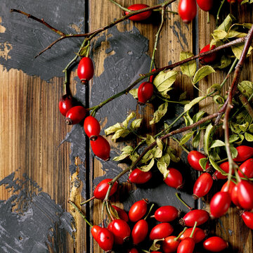 Rose hip berries with branch and leaves