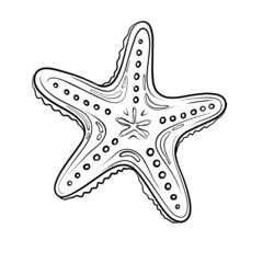 Starfish doodle black outline on white background