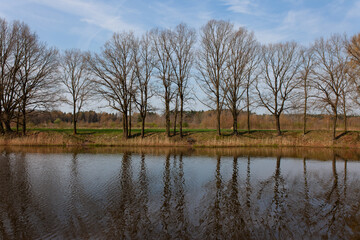Fototapeta na wymiar landscape with trees and lake on a sunny day