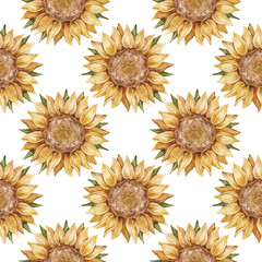 Watercolor seamless pattern with vintage yellow sunflowers isolated on white background. Bright summer collection.