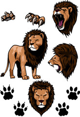 set of lion